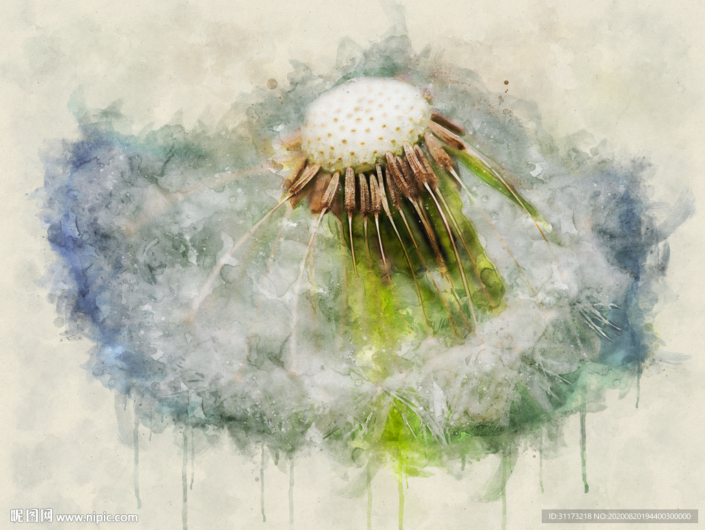 抽象蒲公英艺术画