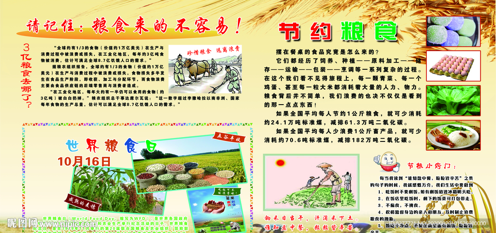 节约粮食 拒绝浪费