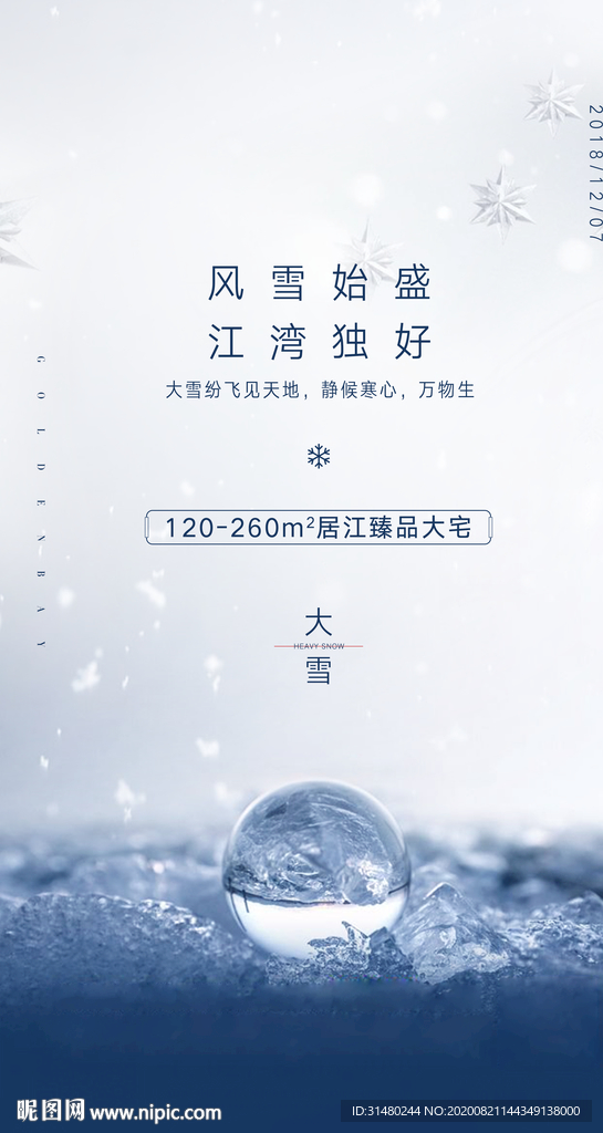 大雪 24节气 地产海报 肌理