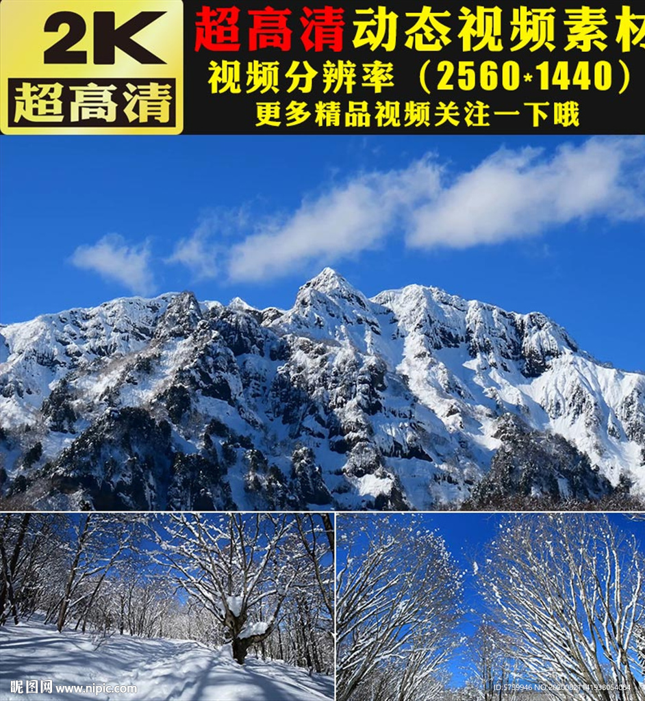 唯美冬天雪景雪松雪山雪峰视频