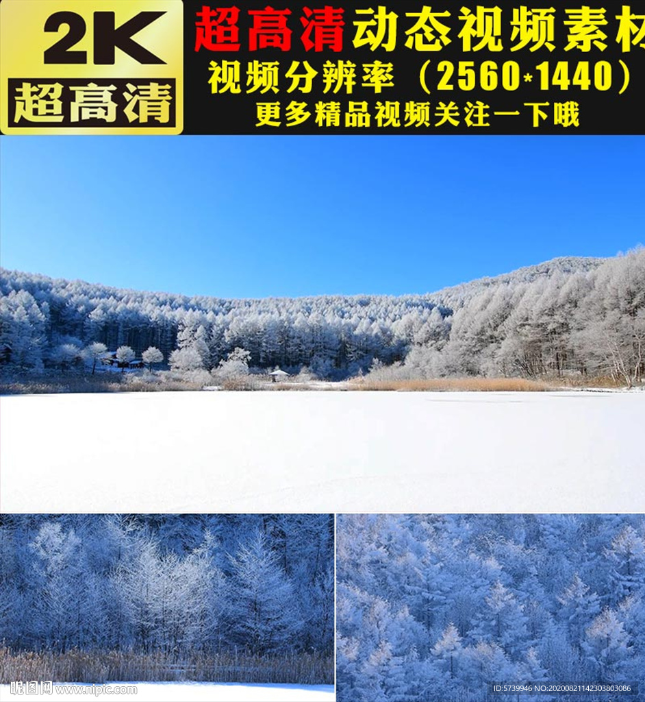 唯美冬天雪景雪松雪山雪峰视频