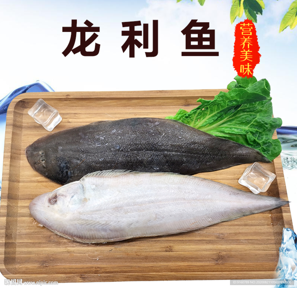 龙利鱼 鳎目鱼主图设计图