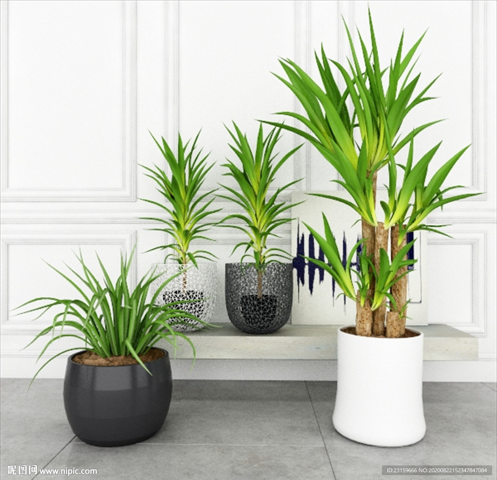 室内植物套装