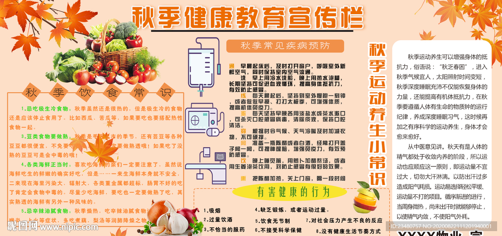 秋季健康教育宣传栏