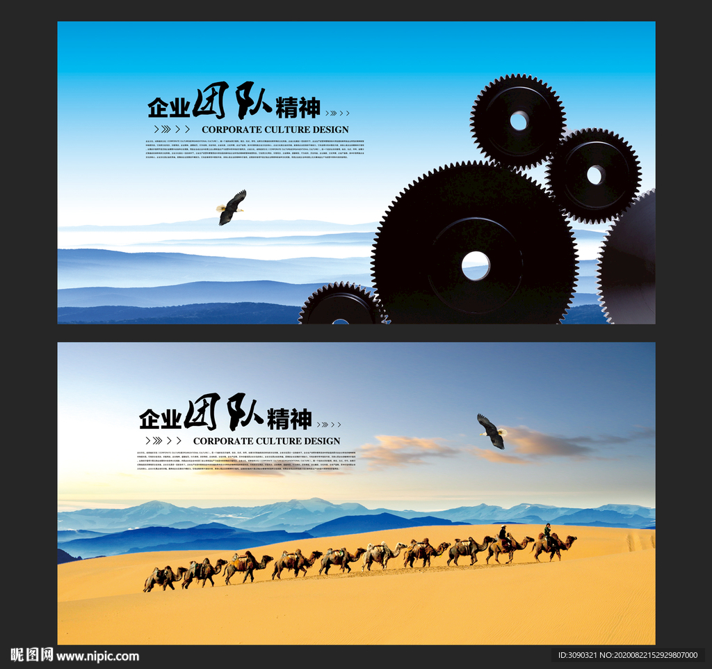 公司团队