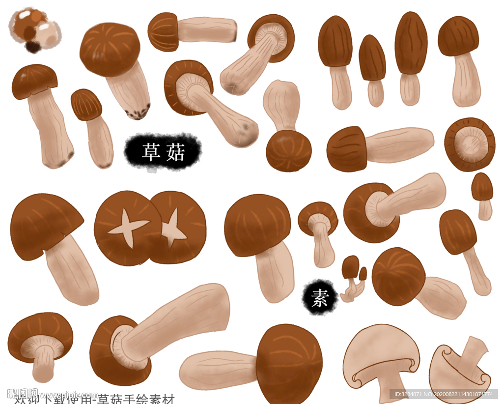 蘑菇手绘素材