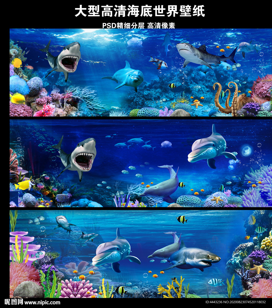 海底世界