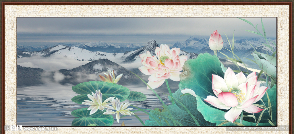荷花