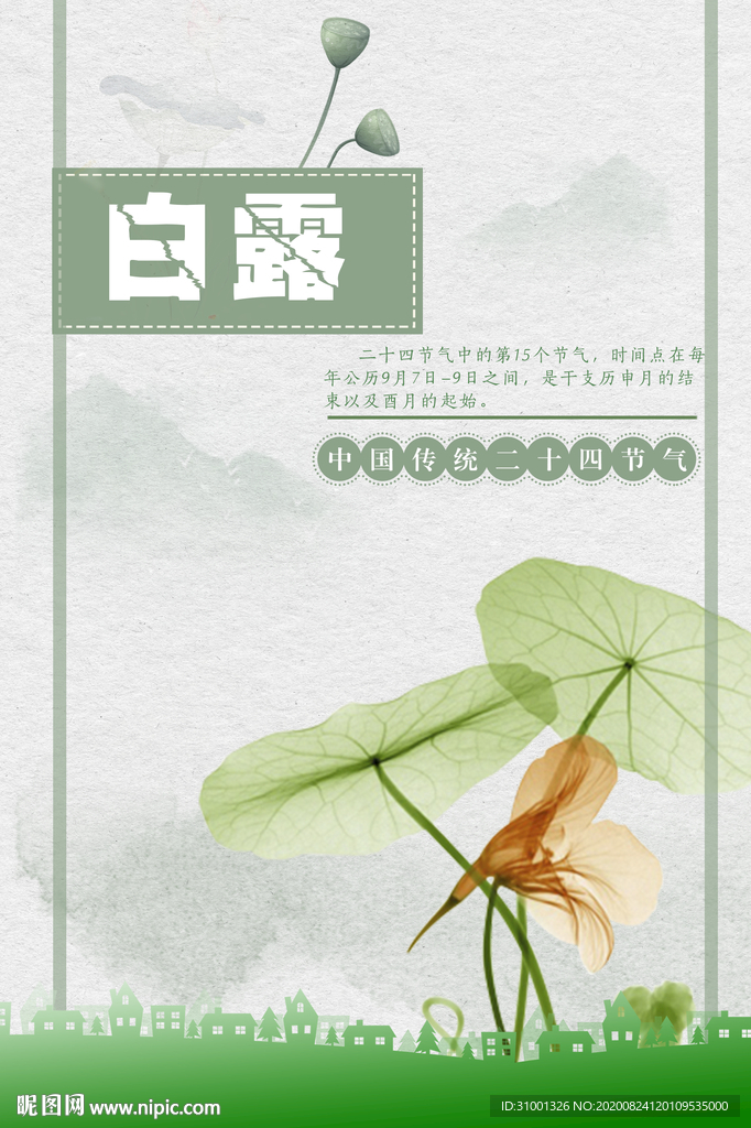 白露荷花