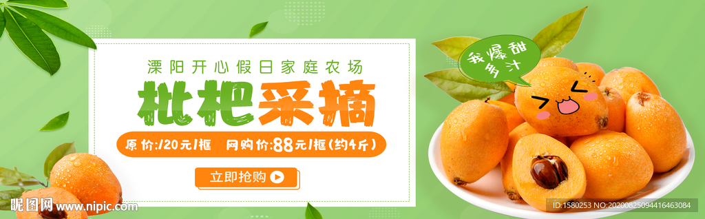 枇杷采摘