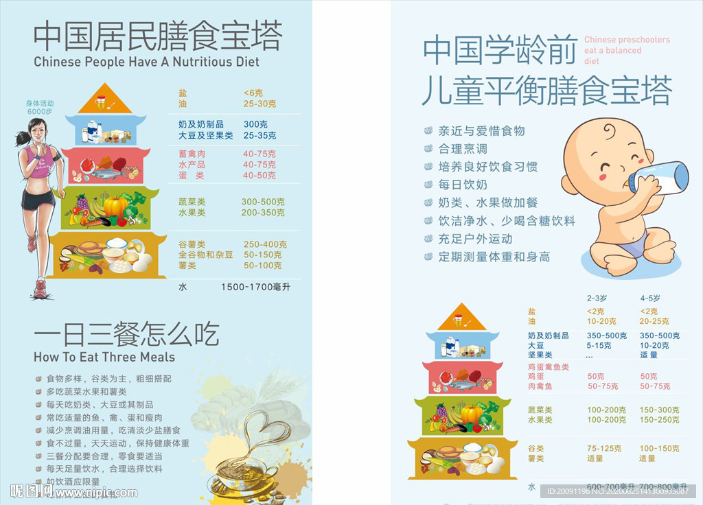 膳食宝塔营养科儿童平衡膳食