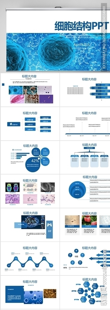 蓝色医疗细胞结构工作总结PPT