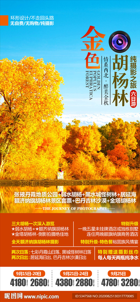 金色胡杨林