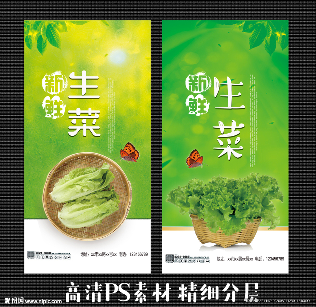 生菜