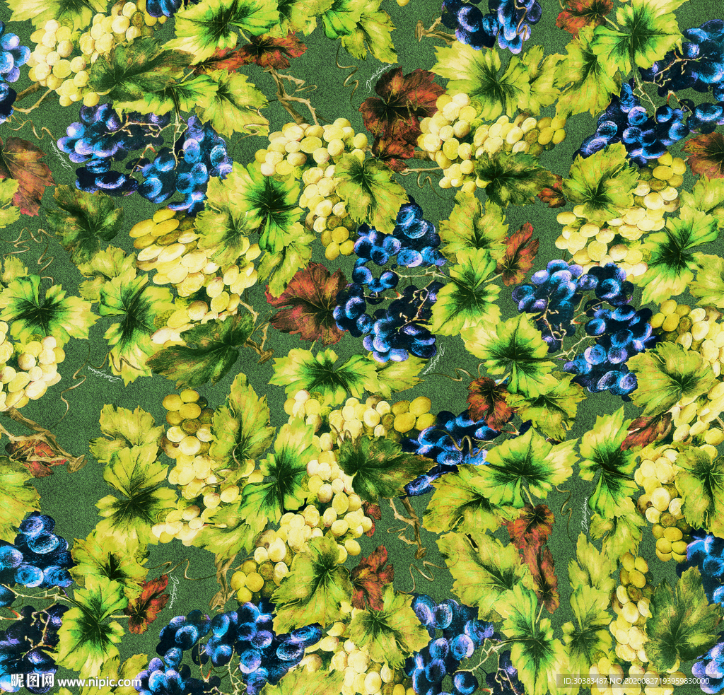 葡萄 提子 水果 鲜花 海洋