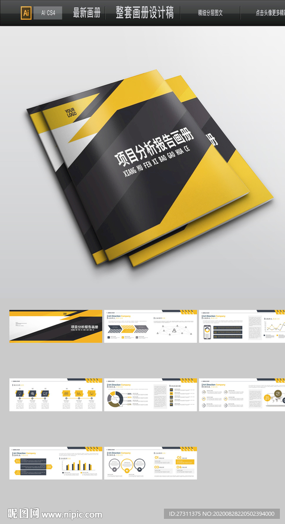 项目分析画册 整套画册