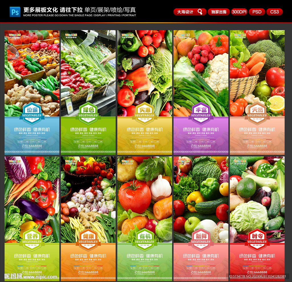 蔬菜海报 蔬菜展板