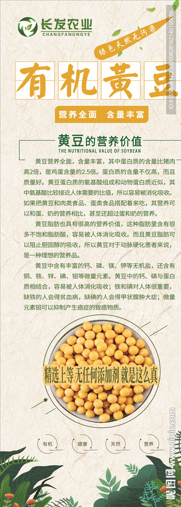 有机黄豆