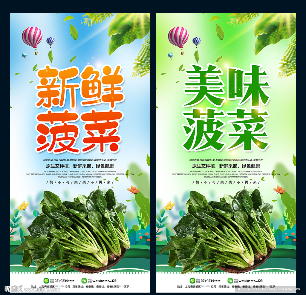菠菜