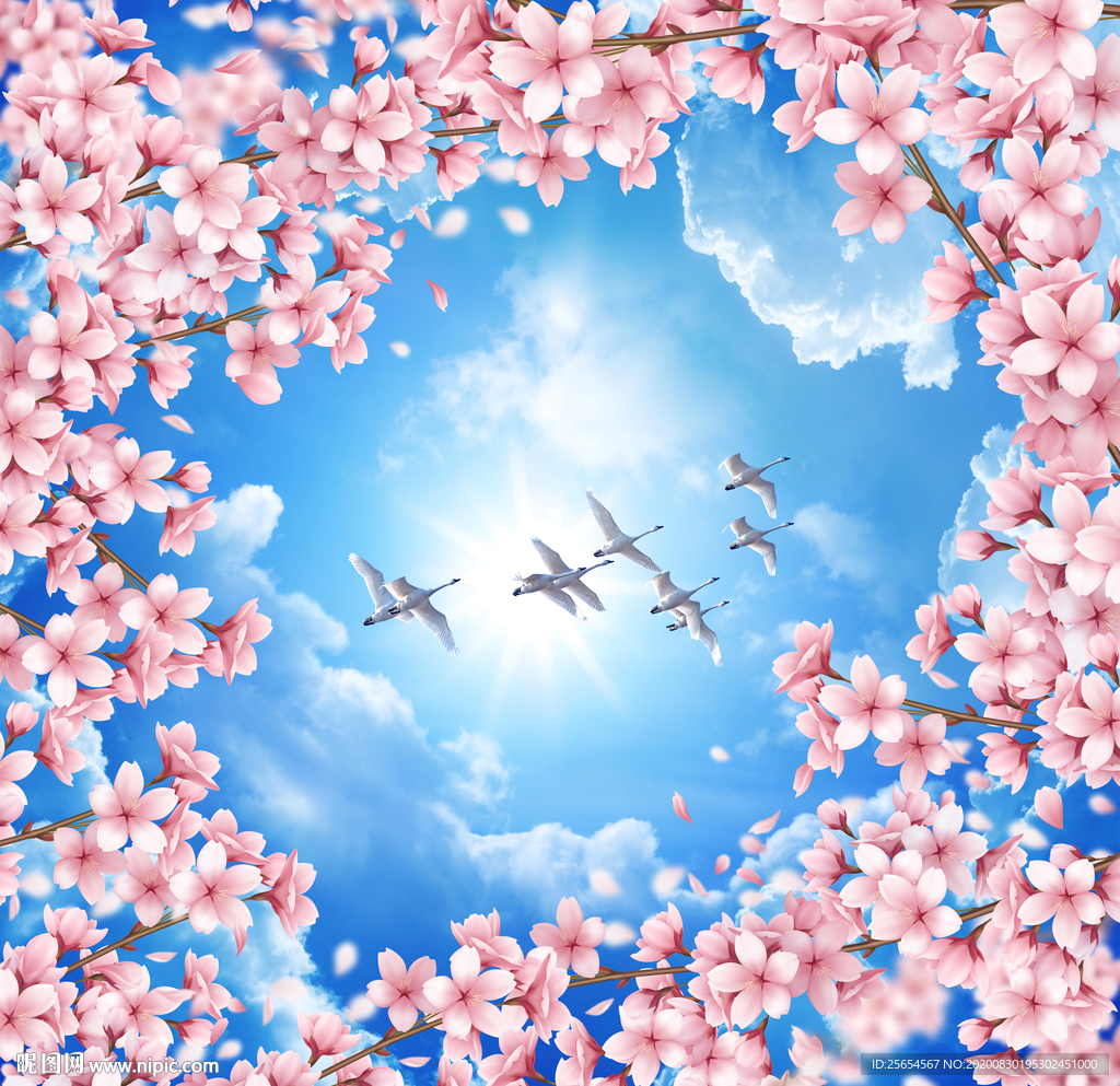 花天顶吊顶装饰画壁画
