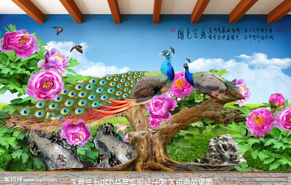 原创高清牡丹孔雀装饰画背景墙