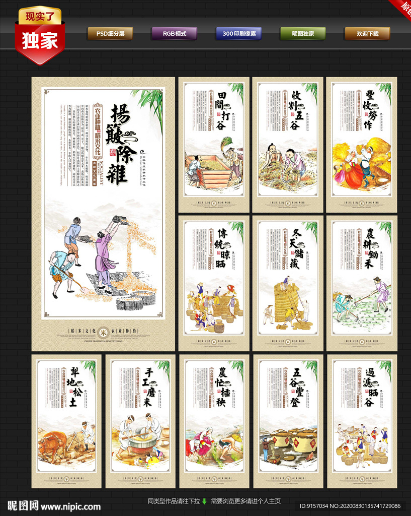 稻米 稻米文化