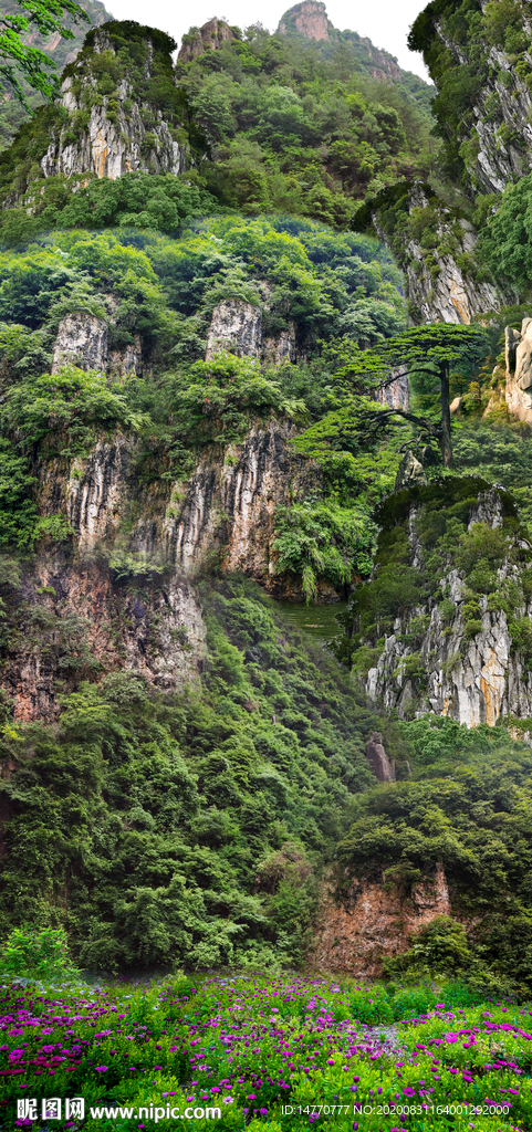 竖幅山水画