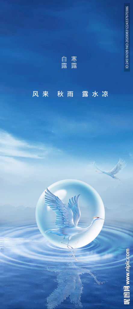白露
