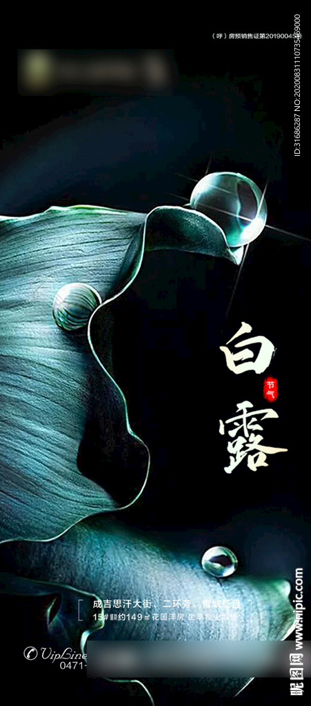 白露