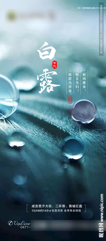 白露