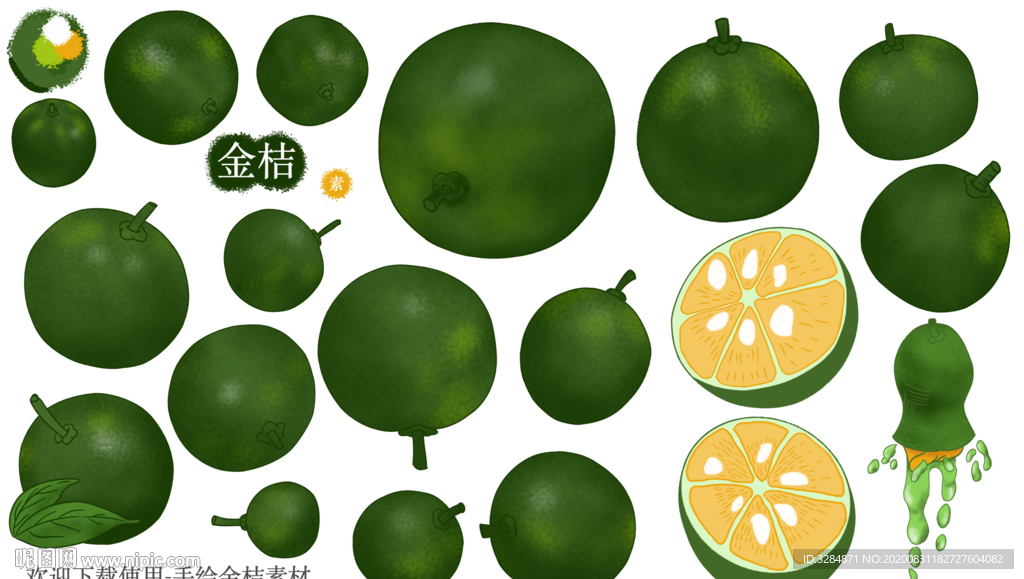金桔手绘素材