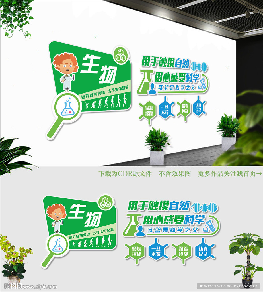 生物文化墙