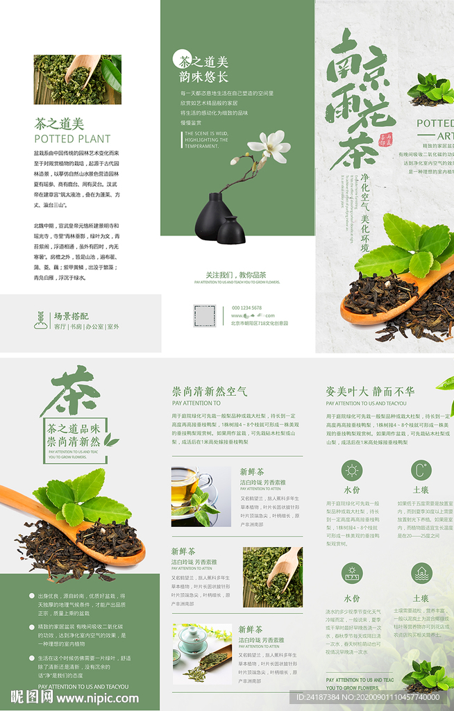 花茶三折页