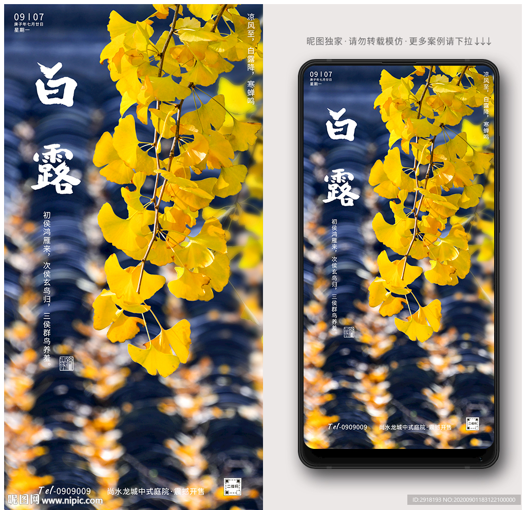 白露