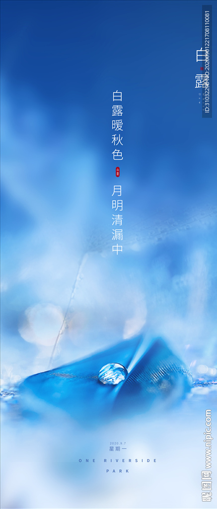 白露