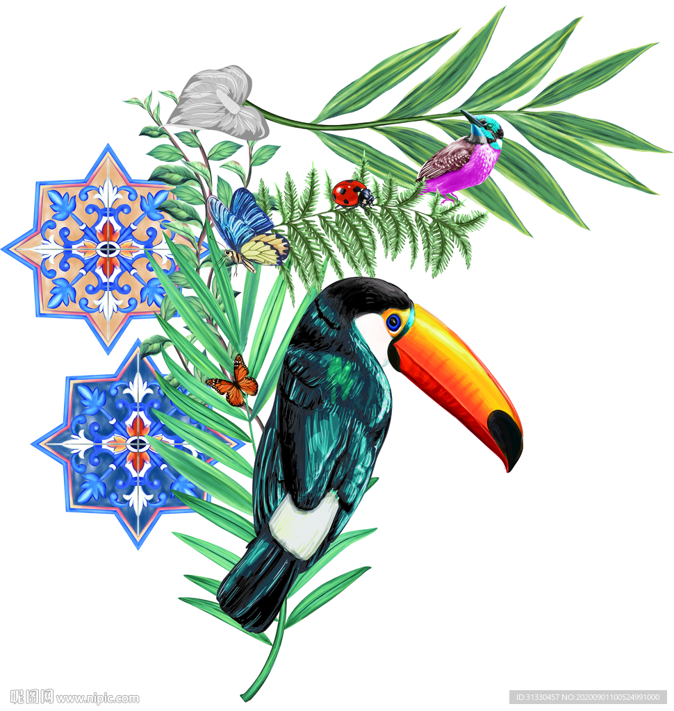 啄木鸟 热带雨林