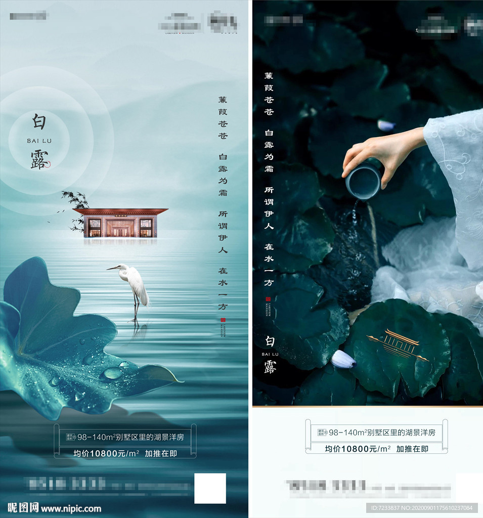 地产白露