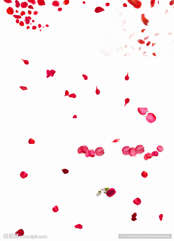 花瓣