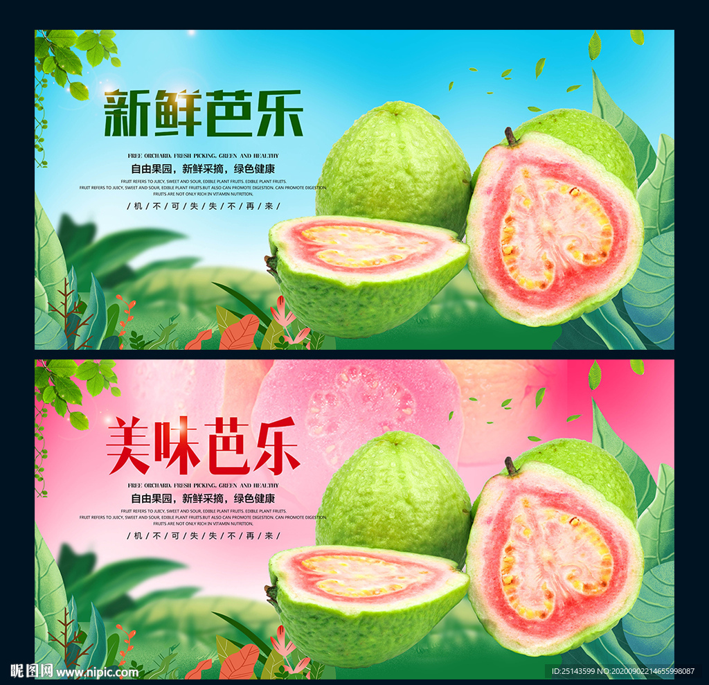 芭乐