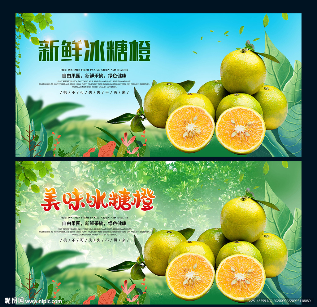 冰糖橙