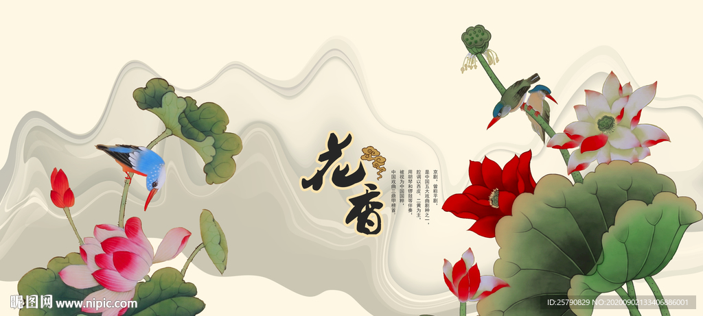 荷花