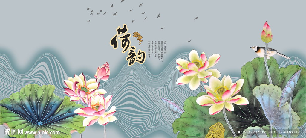 荷花