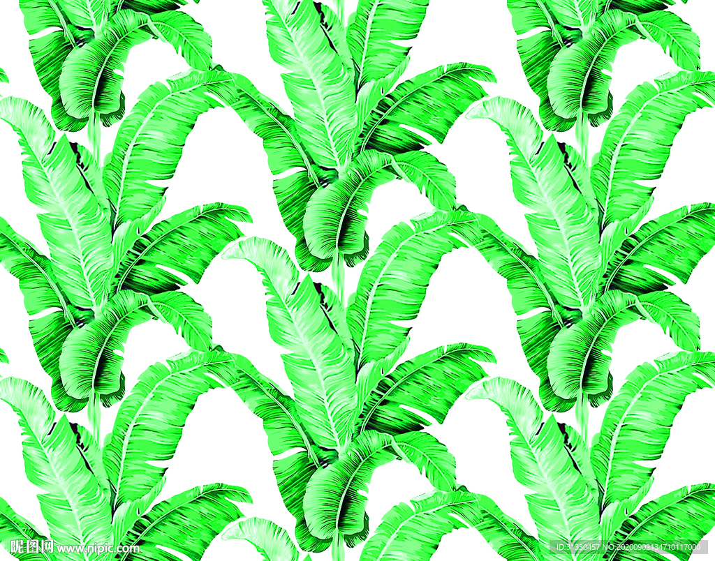 大牌芭蕉叶循环