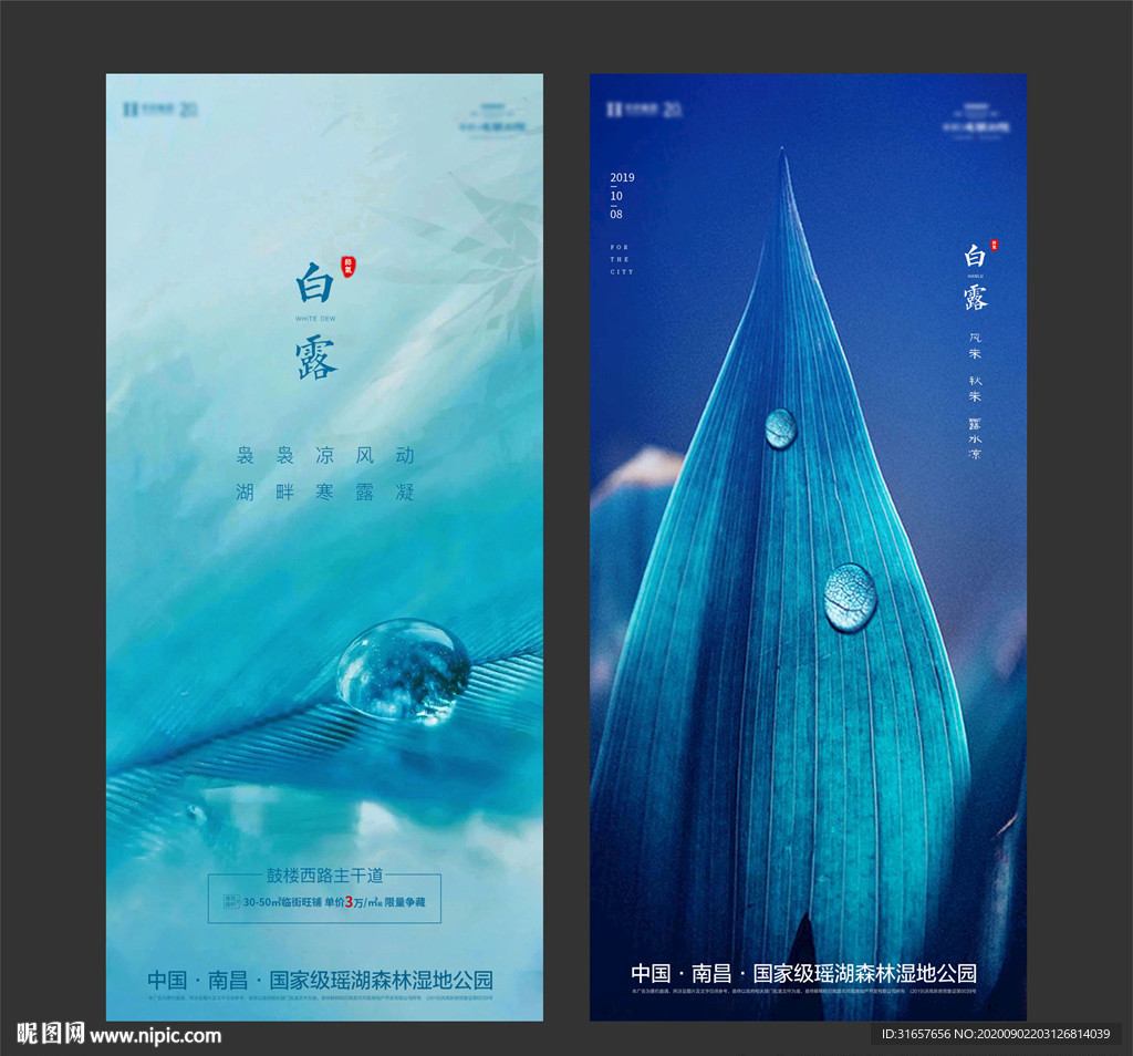 地产白露图片