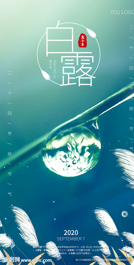 白露节气手机海报