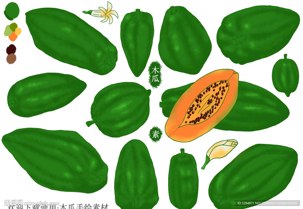 木瓜手绘素材