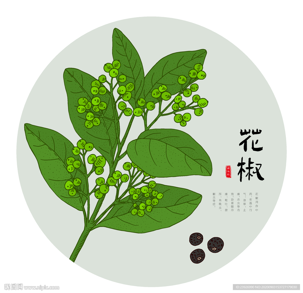 手绘花椒