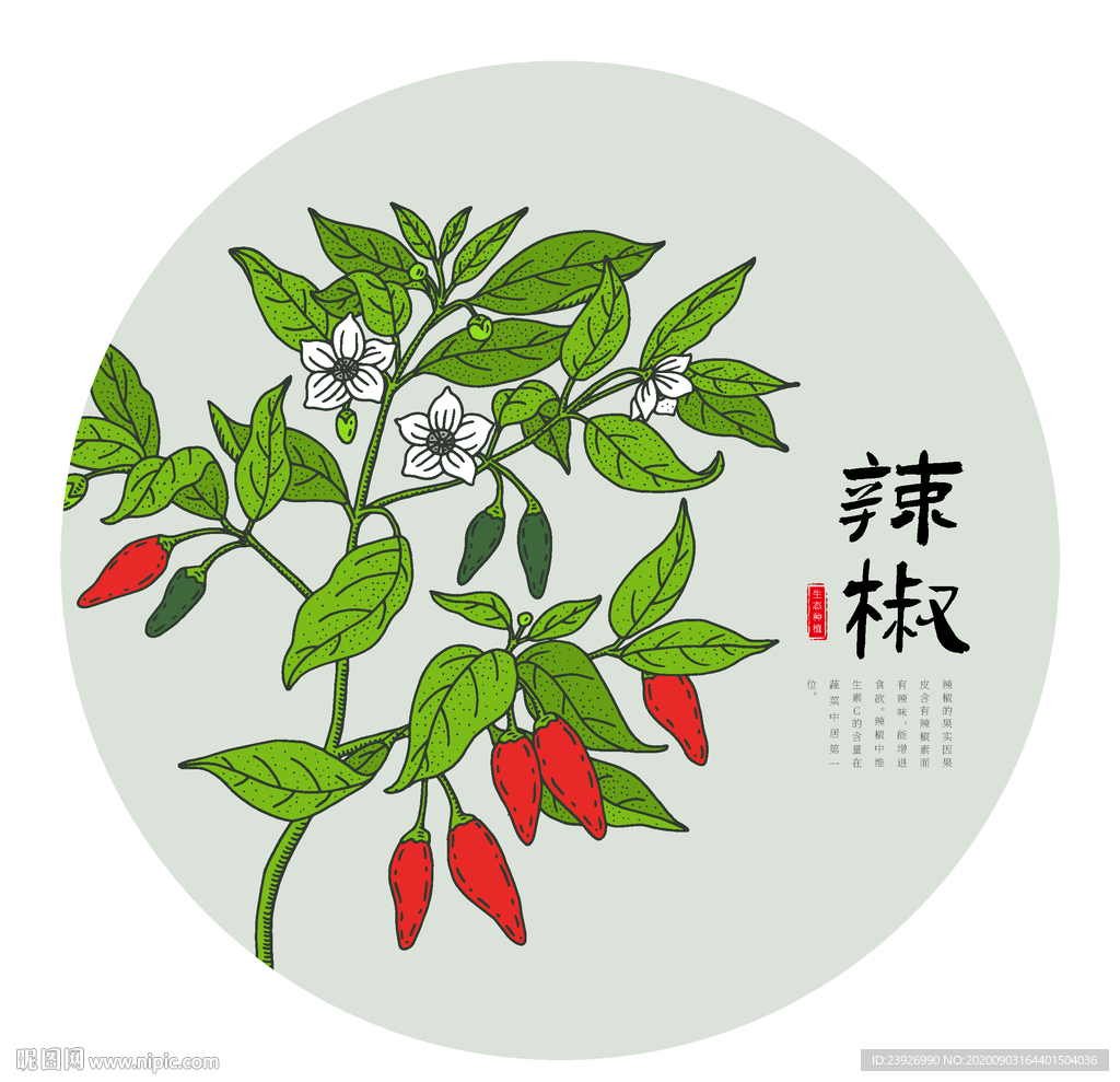 手绘辣椒