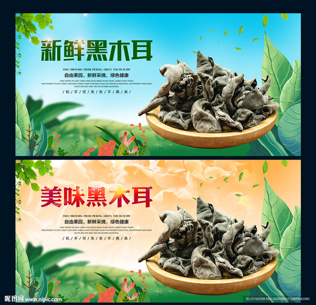黑木耳