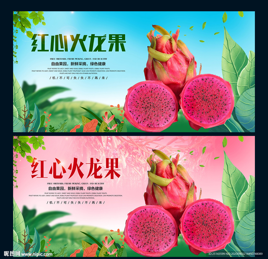 红心火龙果